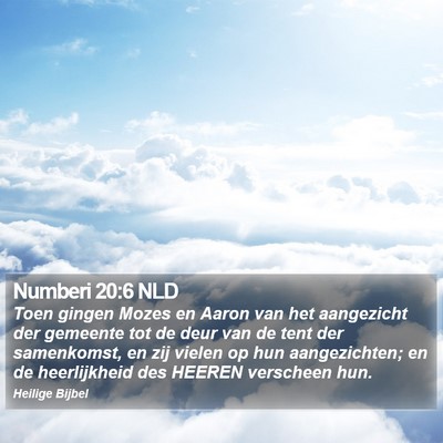 Numberi 20:6 NLD Bible Verse Image