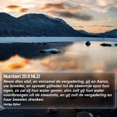 Numberi 20:8 NLD Bible Verse Image