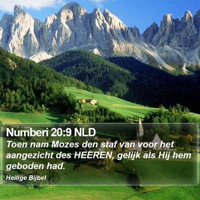 Numberi 20:9 NLD Bible Verse Image
