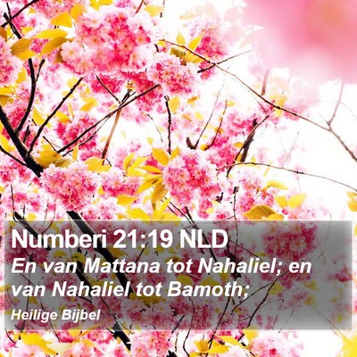 Numberi 21:19 NLD Bible Verse Image
