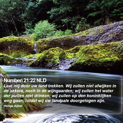 Numberi 21:22 NLD Bible Verse Image