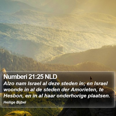 Numberi 21:25 NLD Bible Verse Image