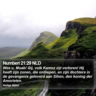 Numberi 21:29 NLD Bible Verse Image