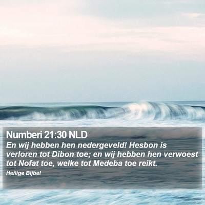 Numberi 21:30 NLD Bible Verse Image