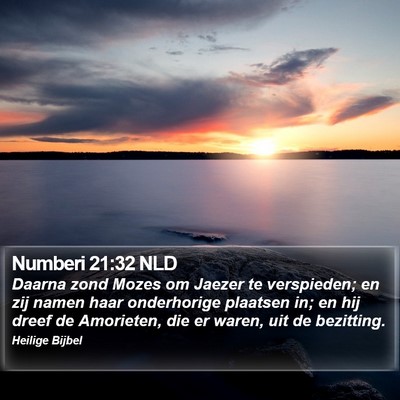 Numberi 21:32 NLD Bible Verse Image