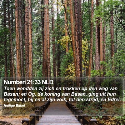 Numberi 21:33 NLD Bible Verse Image