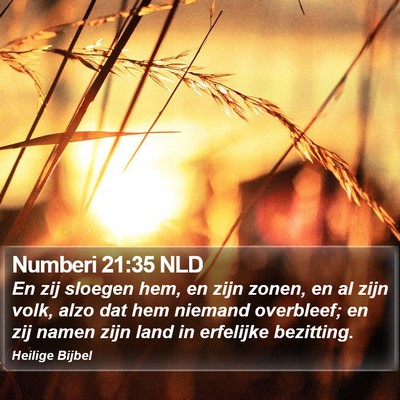 Numberi 21:35 NLD Bible Verse Image