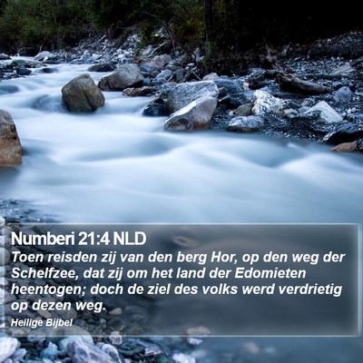Numberi 21:4 NLD Bible Verse Image