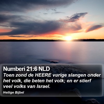 Numberi 21:6 NLD Bible Verse Image