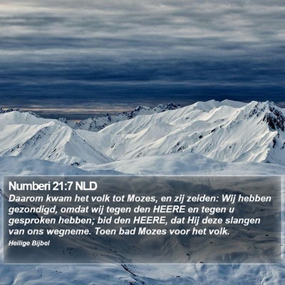 Numberi 21:7 NLD Bible Verse Image