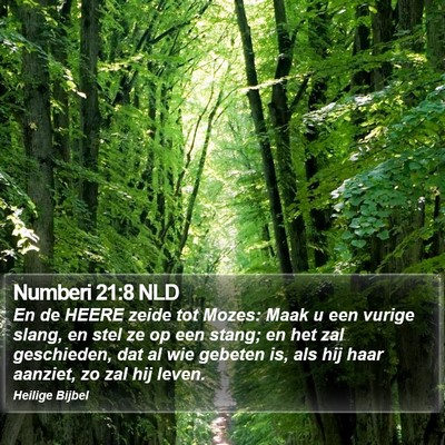 Numberi 21:8 NLD Bible Verse Image