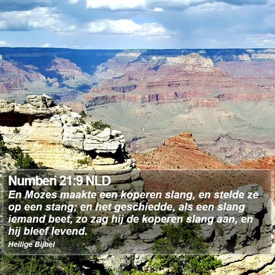 Numberi 21:9 NLD Bible Verse Image