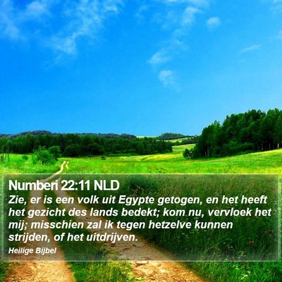 Numberi 22:11 NLD Bible Verse Image