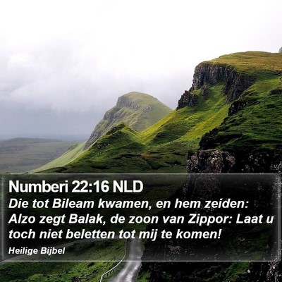 Numberi 22:16 NLD Bible Verse Image