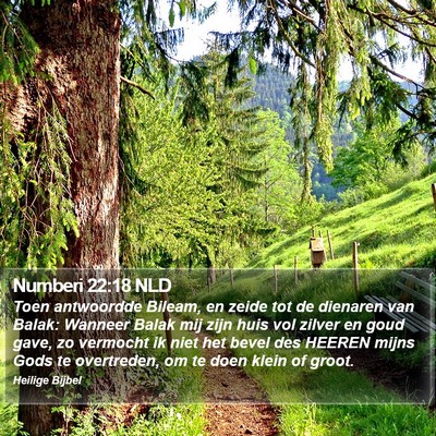 Numberi 22:18 NLD Bible Verse Image