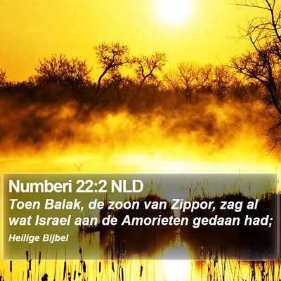 Numberi 22:2 NLD Bible Verse Image