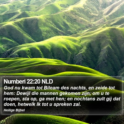Numberi 22:20 NLD Bible Verse Image