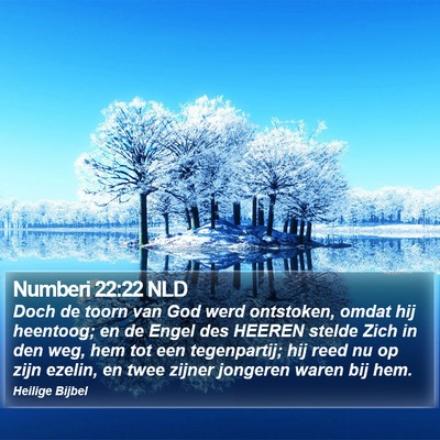 Numberi 22:22 NLD Bible Verse Image