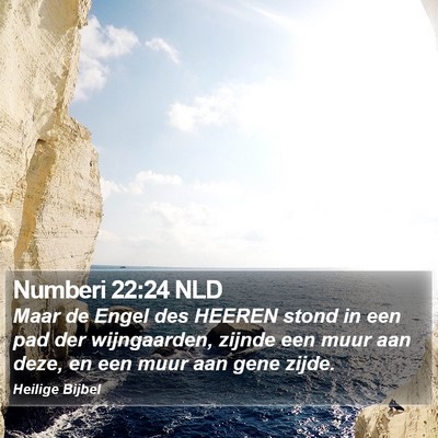 Numberi 22:24 NLD Bible Verse Image