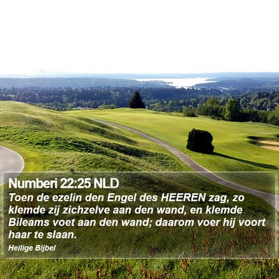 Numberi 22:25 NLD Bible Verse Image
