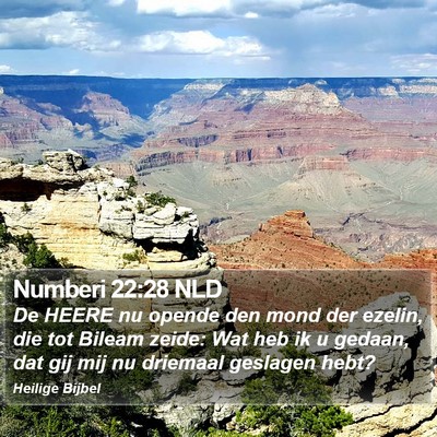 Numberi 22:28 NLD Bible Verse Image