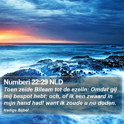 Numberi 22:29 NLD Bible Verse Image
