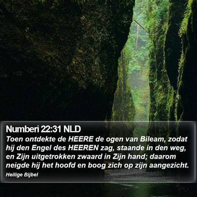 Numberi 22:31 NLD Bible Verse Image