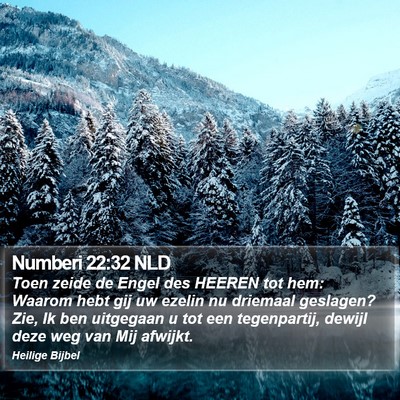Numberi 22:32 NLD Bible Verse Image
