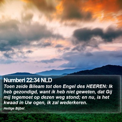 Numberi 22:34 NLD Bible Verse Image