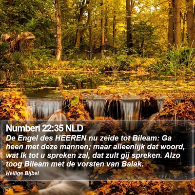 Numberi 22:35 NLD Bible Verse Image