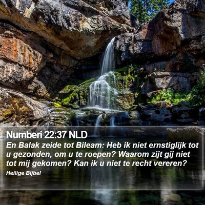 Numberi 22:37 NLD Bible Verse Image