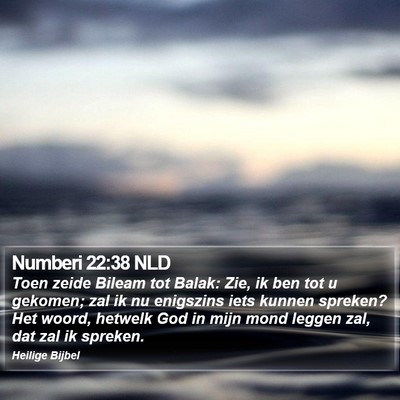Numberi 22:38 NLD Bible Verse Image