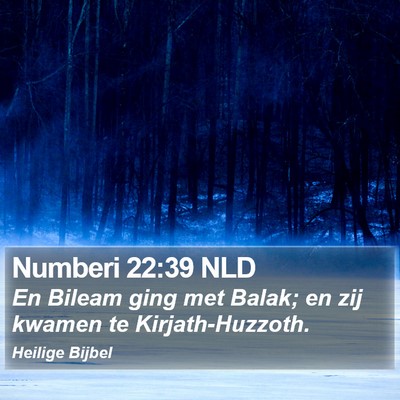 Numberi 22:39 NLD Bible Verse Image