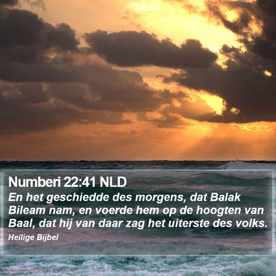 Numberi 22:41 NLD Bible Verse Image