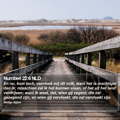 Numberi 22:6 NLD Bible Verse Image