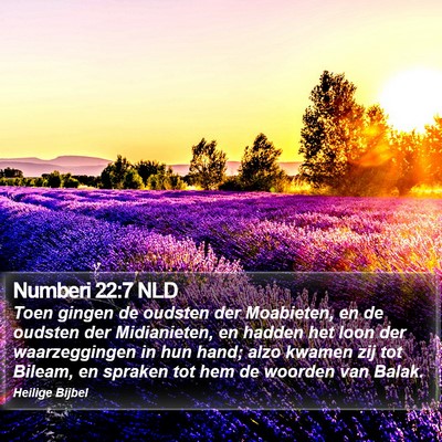 Numberi 22:7 NLD Bible Verse Image