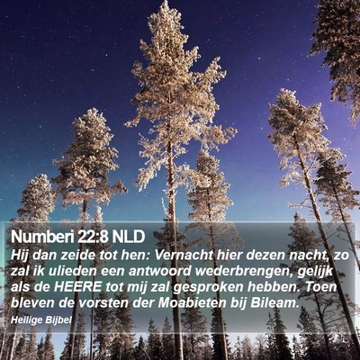 Numberi 22:8 NLD Bible Verse Image