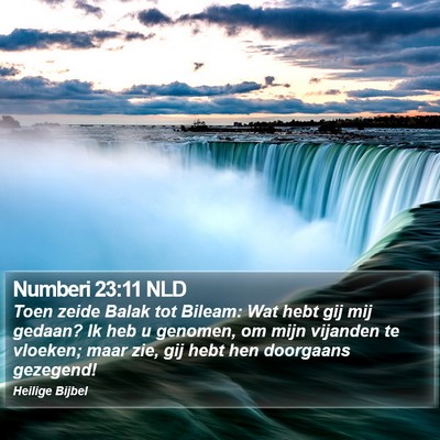 Numberi 23:11 NLD Bible Verse Image