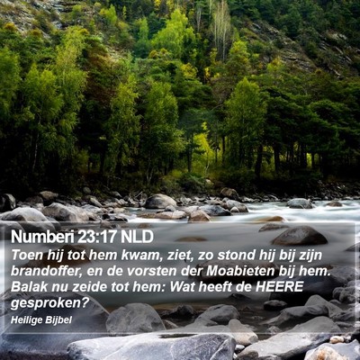 Numberi 23:17 NLD Bible Verse Image