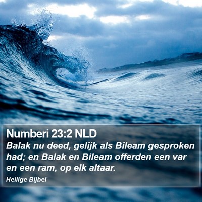 Numberi 23:2 NLD Bible Verse Image