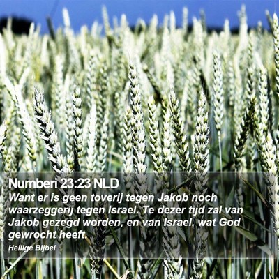 Numberi 23:23 NLD Bible Verse Image