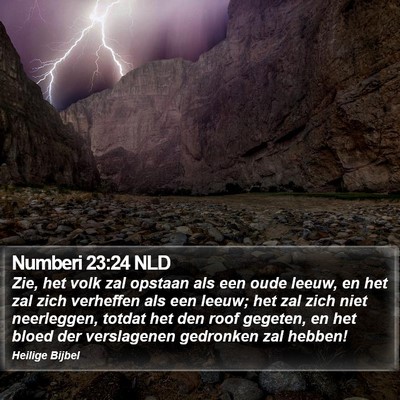 Numberi 23:24 NLD Bible Verse Image