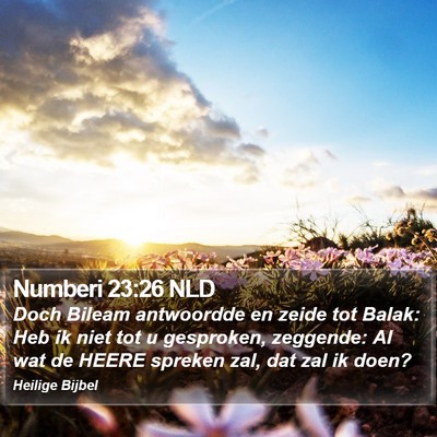 Numberi 23:26 NLD Bible Verse Image