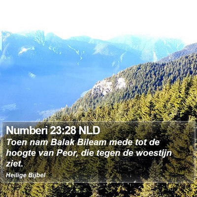Numberi 23:28 NLD Bible Verse Image