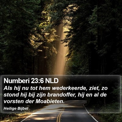 Numberi 23:6 NLD Bible Verse Image