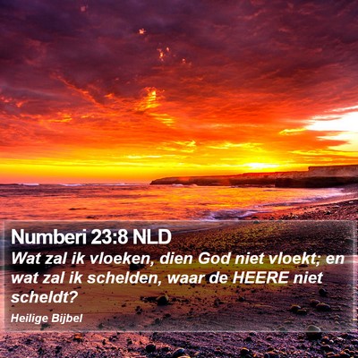 Numberi 23:8 NLD Bible Verse Image