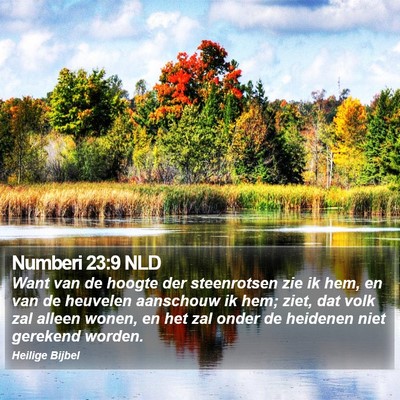 Numberi 23:9 NLD Bible Verse Image