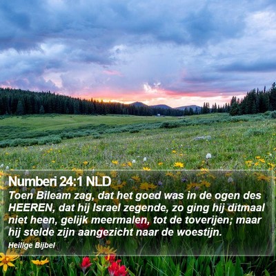 Numberi 24:1 NLD Bible Verse Image