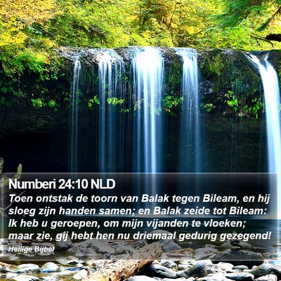 Numberi 24:10 NLD Bible Verse Image
