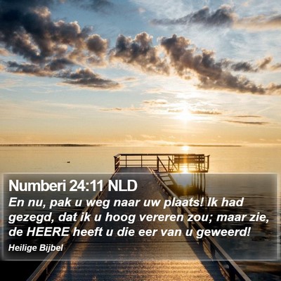 Numberi 24:11 NLD Bible Verse Image